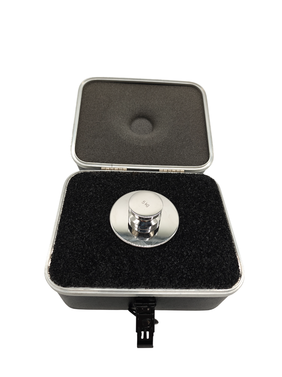 5kg Rice Lake Calibration Test Weight with Carry Case  - Weighing Systems | NEW