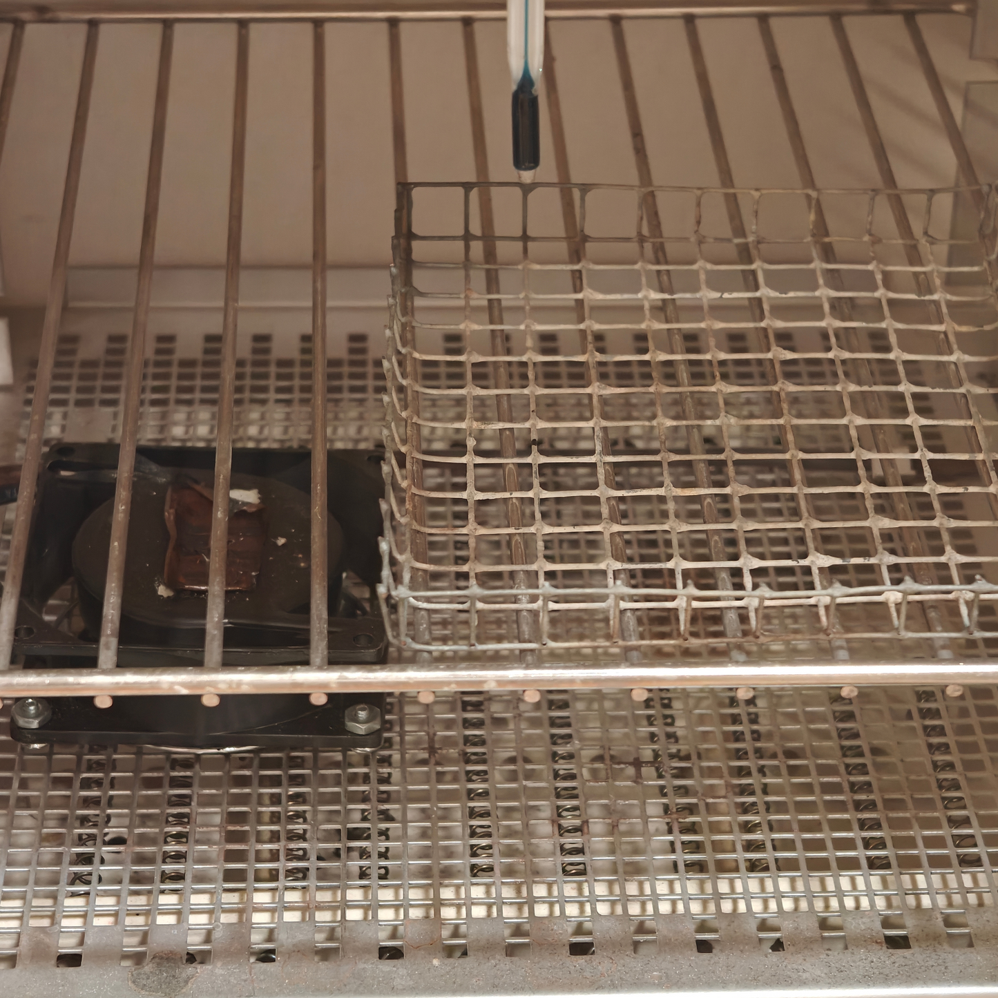 Blue M SW-11TA-1 120V Gravity Convection Laboratory Oven with Thermometer & Rack