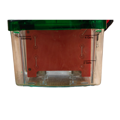 Bio-Rad 552BR Mini-PROTEAN Tetra Cell  600VDC Gel Vertical Electrophoresis | NEW