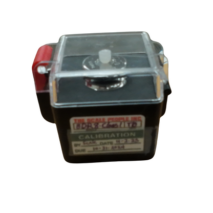 Rice Lake 100g Class 1 Calibration Weight Lab Scale Precision Standard w/ Case