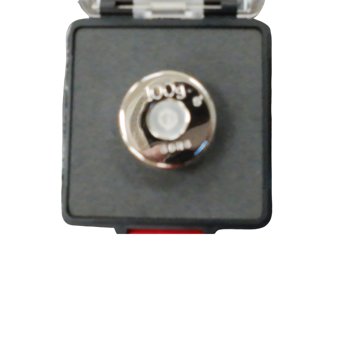 Rice Lake 100g Class 1 Calibration Weight Lab Scale Precision Standard w/ Case