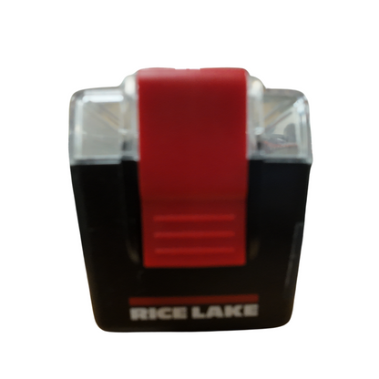 Rice Lake 100g Class 1 Calibration Weight Lab Scale Precision Standard w/ Case