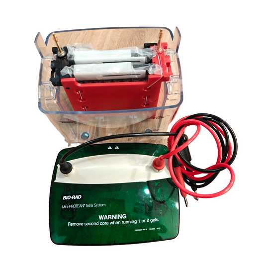 Bio-Rad 552BR Mini-PROTEAN Tetra Cell  600VDC Gel Vertical Electrophoresis | NEW