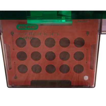 Bio-Rad 560BR Criterion Blotter 300VDC Blot Transfer Electrophoresis Cell | NEW