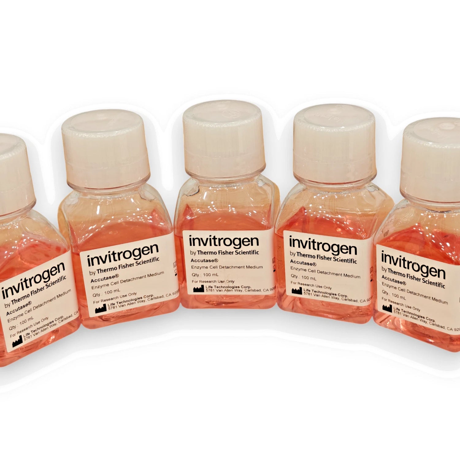 Invitrogen Accutase Enzyme Cell Detachment Medium 100mL - OpalineTrade