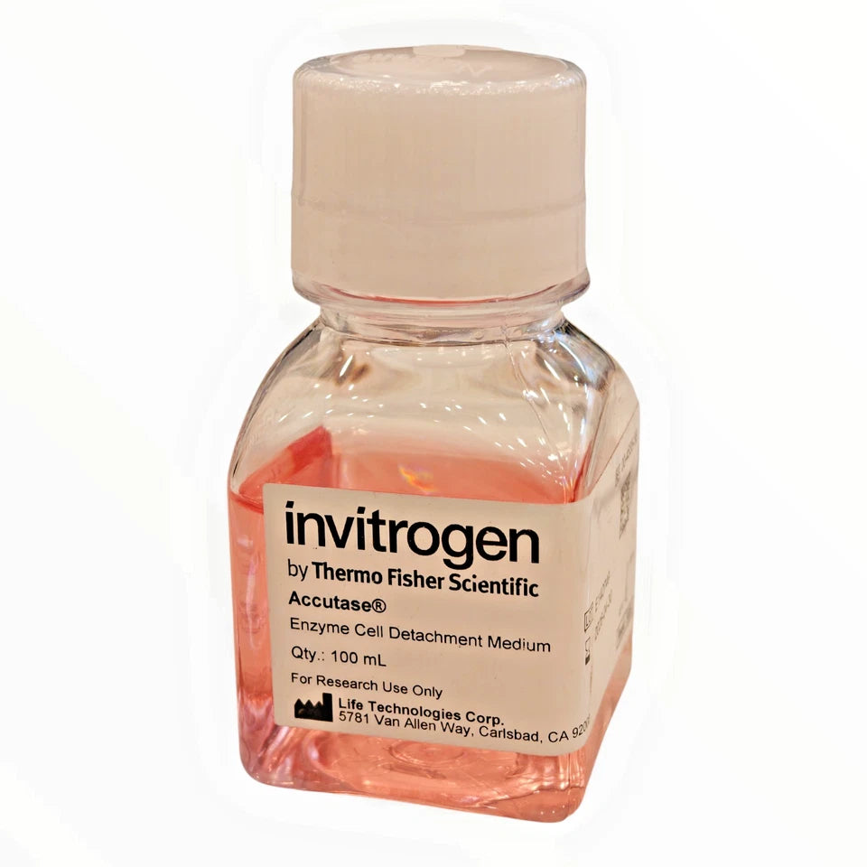 Invitrogen Accutase Enzyme Cell Detachment Medium 100mL