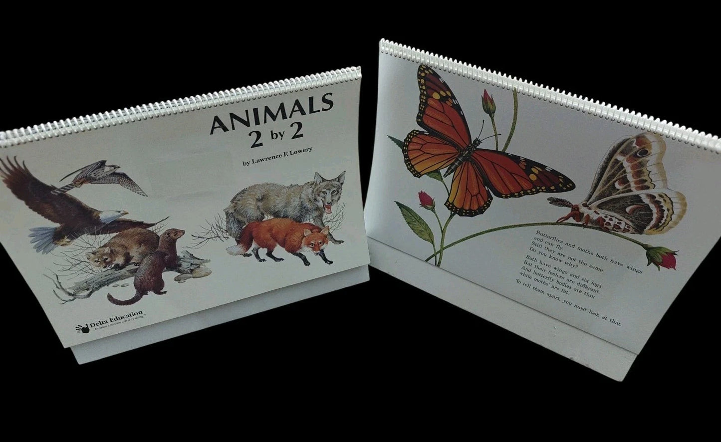 Animals 2 by 2 Classroom Flip Chart Science Teacher Big Book Homeschool