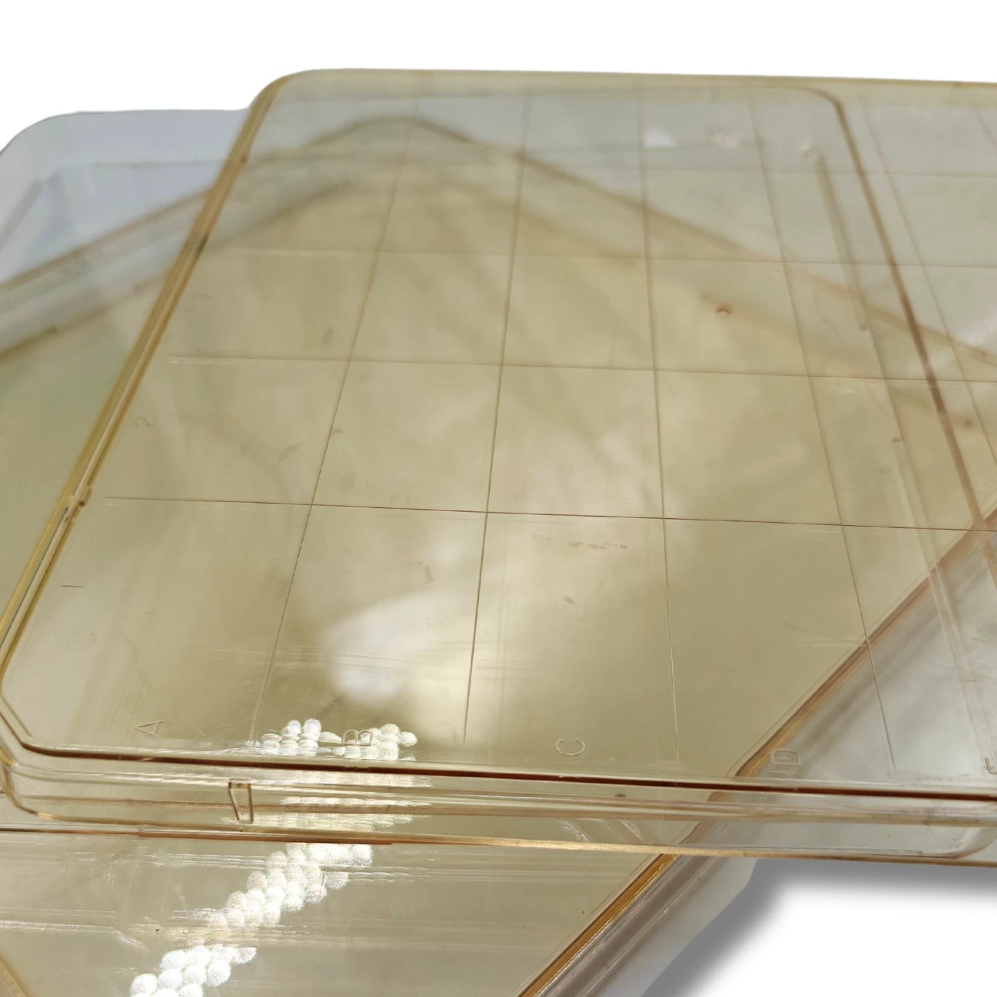 BD Falcon Nunc Square BioAssay Cell Culture Dish 241×20mm, Gridded, Lids, 5 Pack