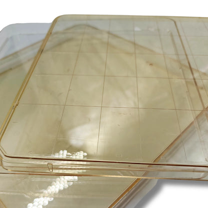 BD Falcon Nunc Square BioAssay Cell Culture Dish 241×20mm, Gridded, Lids, 5 Pack