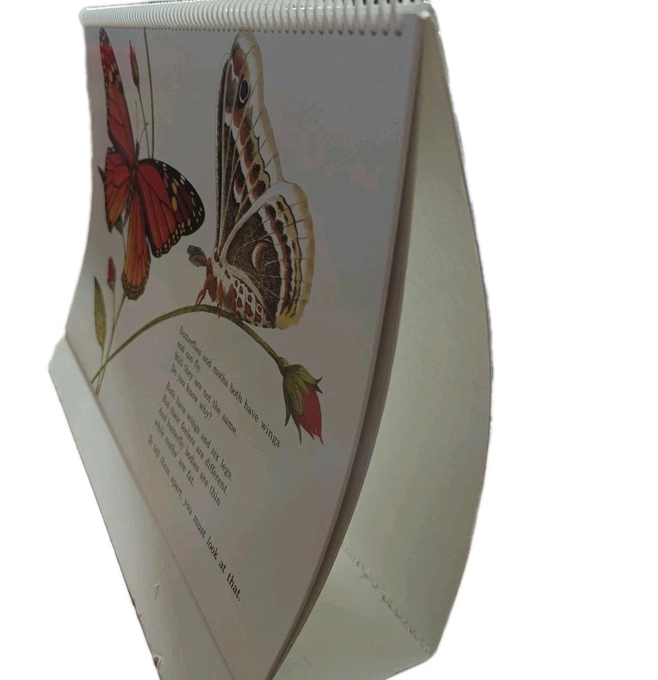 Animals 2 by 2 Classroom Flip Chart Science Teacher Big Book Homeschool