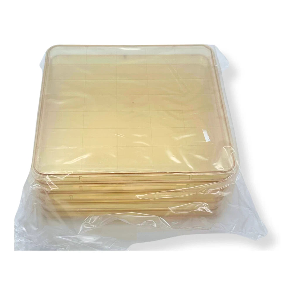 BD Falcon Nunc Square BioAssay Cell Culture Dish 241×20mm, Gridded, Lids, 5 Pack