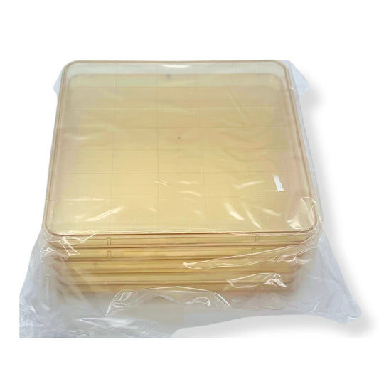 BD Falcon Nunc Square BioAssay Cell Culture Dish 241×20mm, Gridded, Lids, 5 Pack